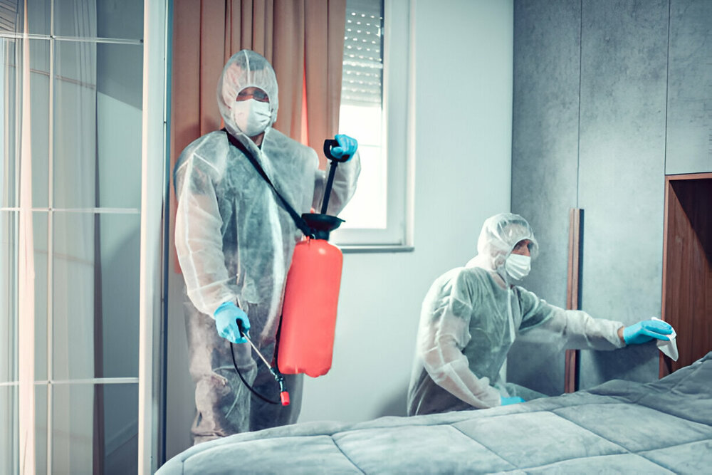 Bed Bug Control Scarborough